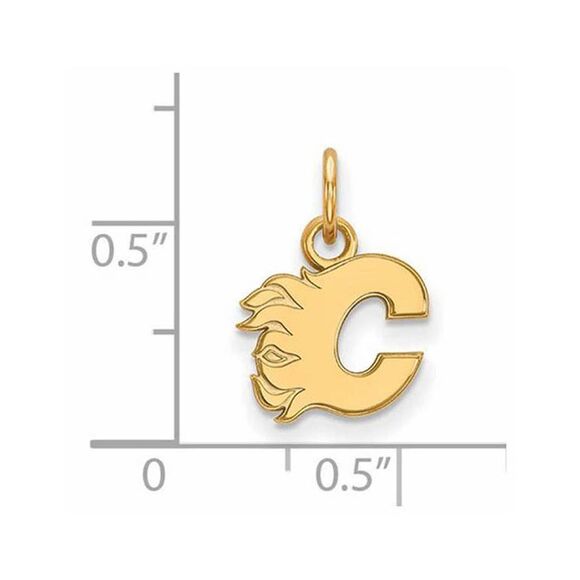14k Yellow Gold NHL Calgary Flames XS (Tiny) Charm or Pendant - Picture 2 of 3